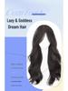 Women's Long Wavy Wig - Natural Fall/Winter Look, Middle Part, Full Coverage