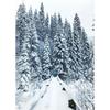 Wall Art Winter Snow Forest Train Deer Squirrel Pine Cone Canvas Painting Posters and Prints for Living Room Home Decor