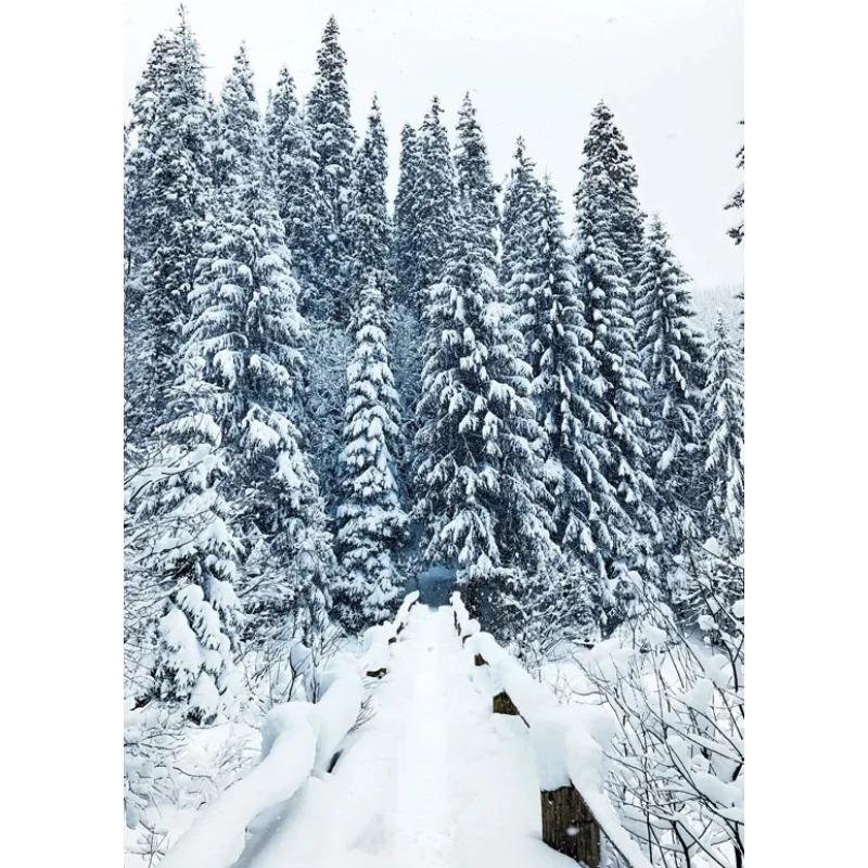 Wall Art Winter Snow Forest Train Deer Squirrel Pine Cone Canvas Painting Posters and Prints for Living Room Home Decor