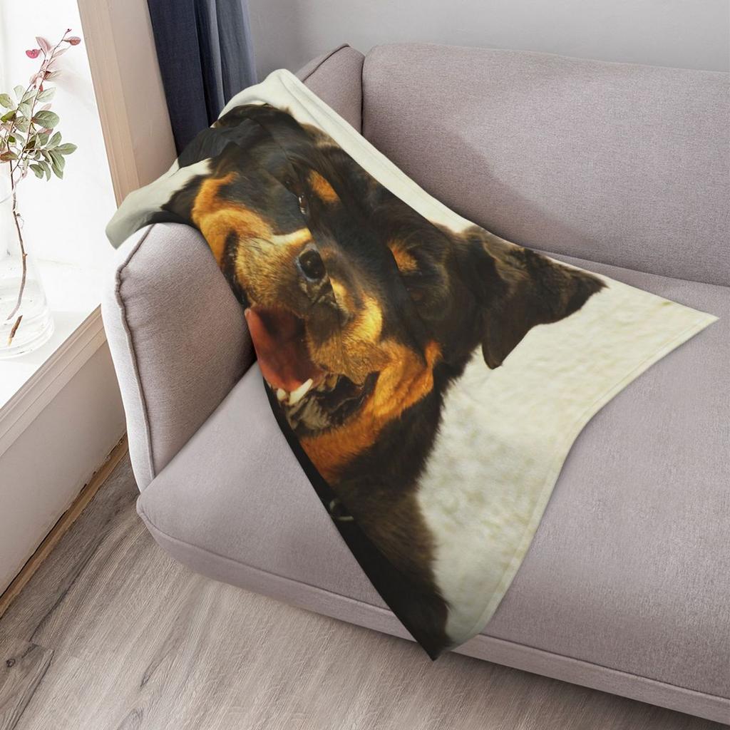 Rottweiler Throw Blanket Fashion Sofas Bed Single Quilt Sofas Custom Blankets