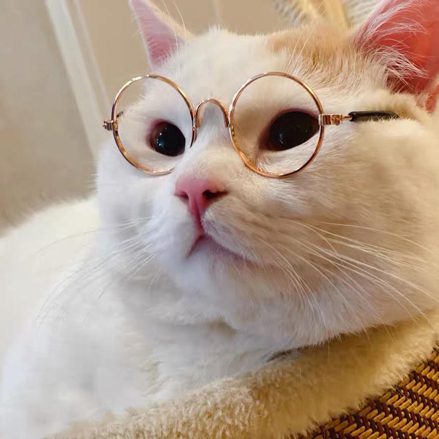 Occhiali da Sole Hip-Hop per Animali Domestici: Occhiali alla Moda e Divertenti per Gatti e Cani