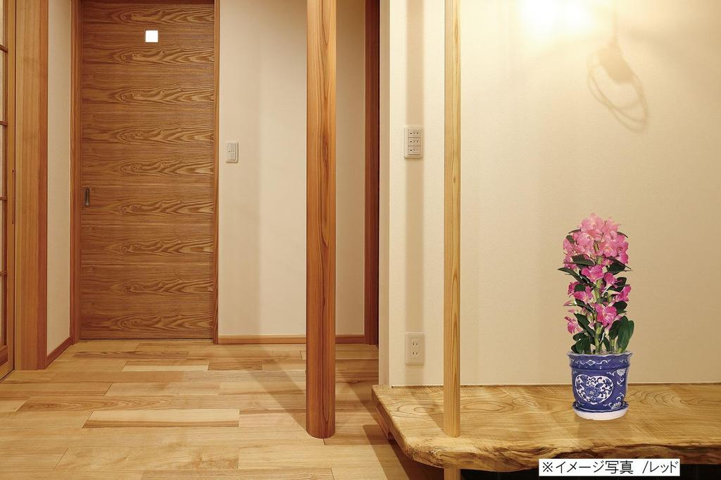 Artificial Orchid Design Photocatalyst Interior Flower Phalaenopsis/Western "Traditional Style/Blue Pot" (Air Purifier) (Dendrobium-S3 Stem/White