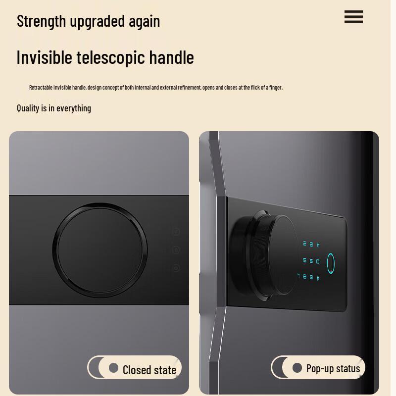 Tiger Brand Fingerprint Password All-Steel Home Safe