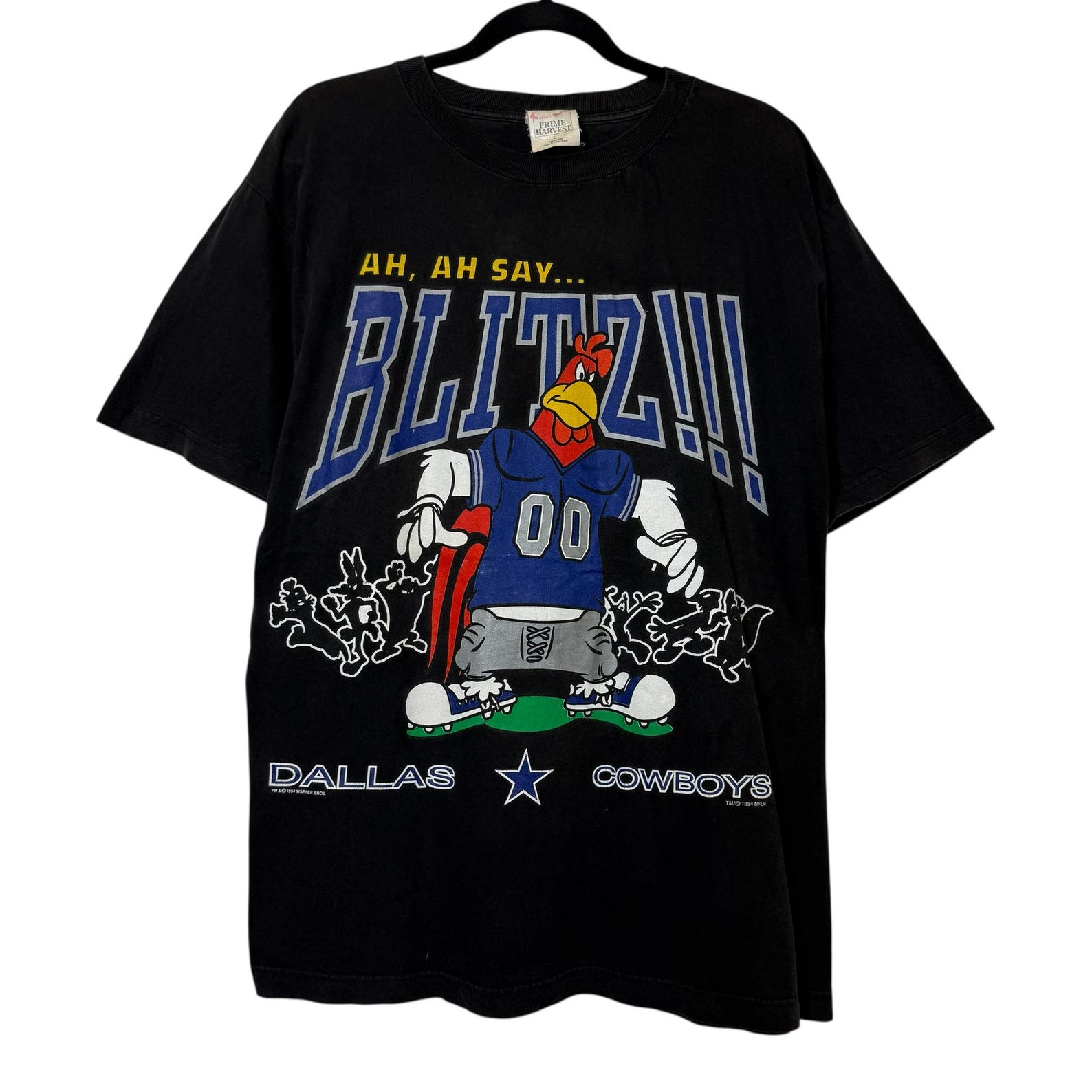 1994 Foghorn Dallas Cowboys NFL T shirt Sz L (B618) S