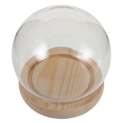 1 Set Round Glass Display Dome Cloche Wood Base Small For Preserved Flowers Figurines Decoration Transparent Dust-Proof Showcase