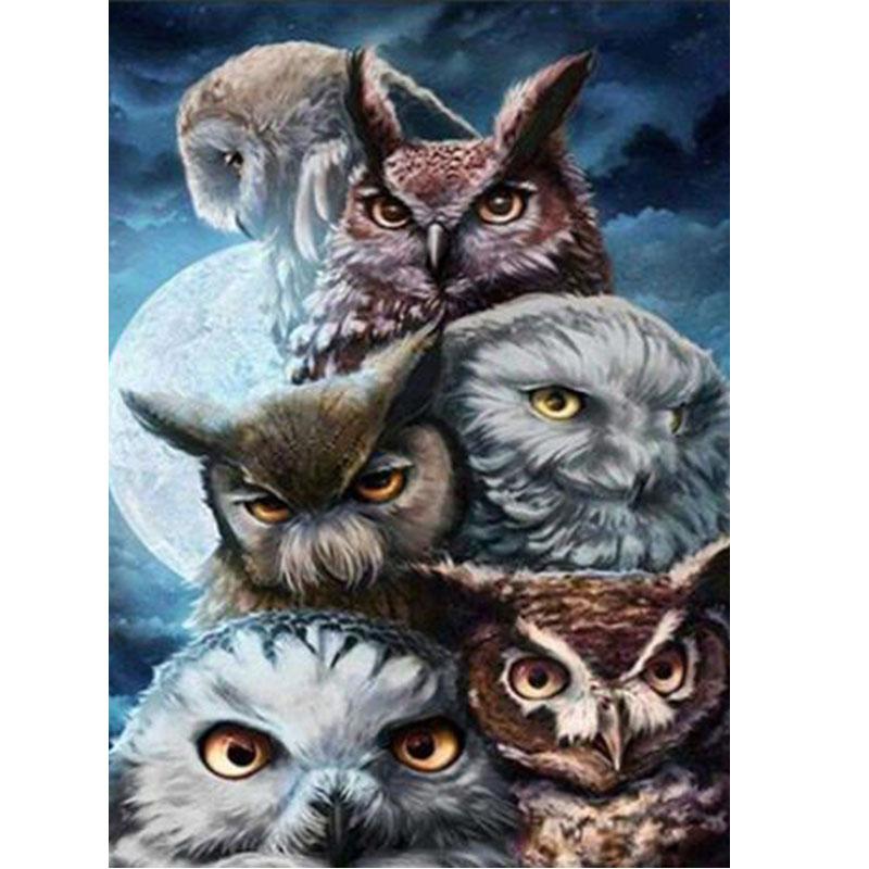 Owl DIY 5D Diamond Painting Cartoon Diamond Animal Diamond Embroidery Cross Stitch Full Round Resin Manual Art Gift Home Decor