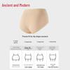 GUJIN Women's High-Waist Lace Tummy Control Cotton Briefs