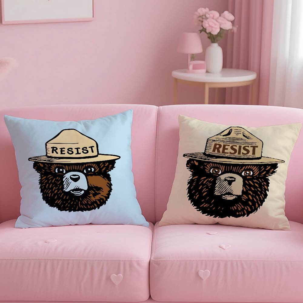 Anime S-Smokey B-Bear Pillow Case pattern printing pillowcase living room sofa cushion cover bedroom room decor