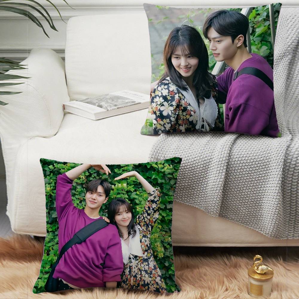 TV Series N-Nevertheless Pillow Case Home Decor Throw For Sofa Bed Car Room Decor Gift Idea