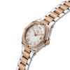 Jissisigye Iron Class Lady (Z43001L1Mf) Women'S Watch