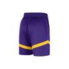 New Nike Basketball Shorts Men's Dark Purple DZ3722-504