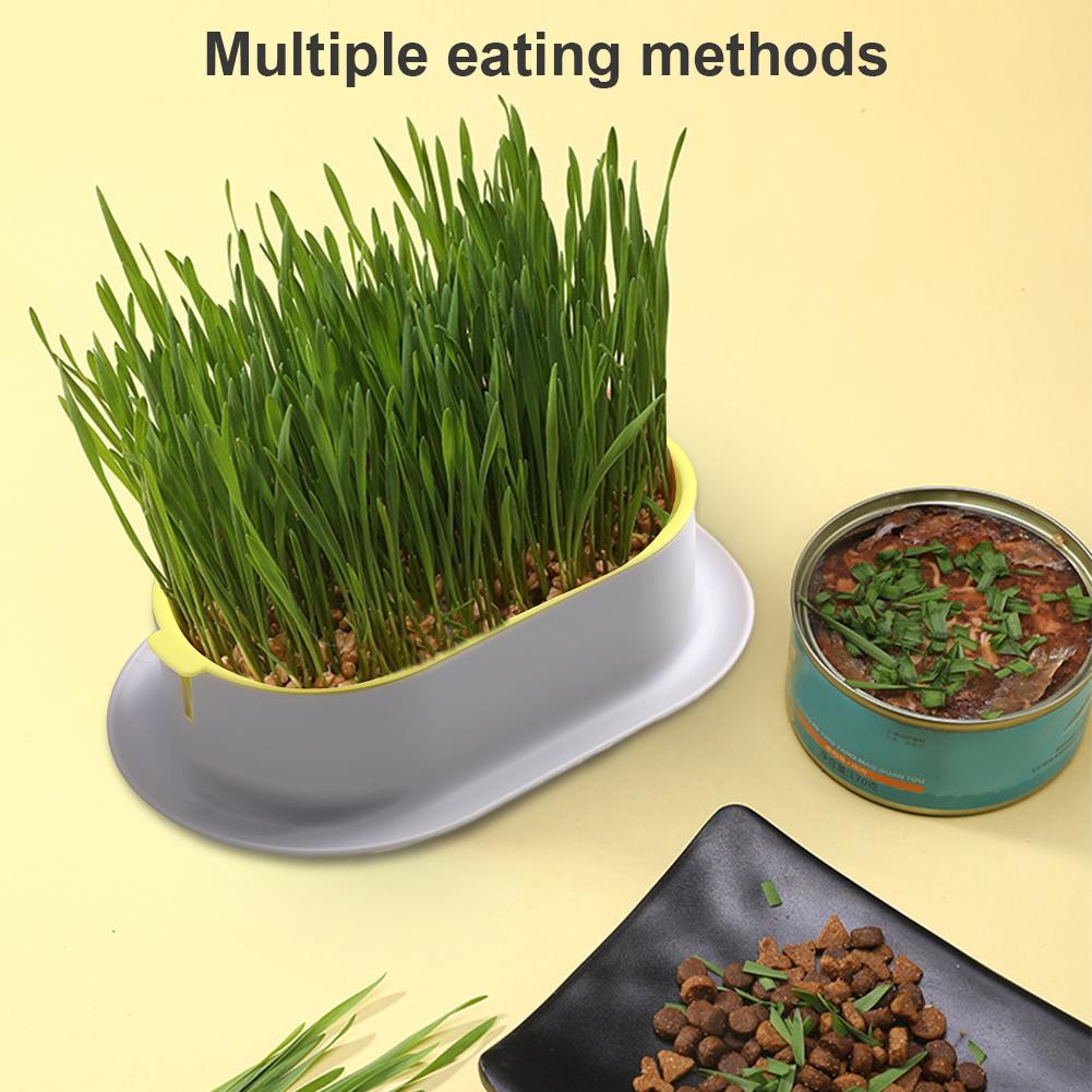 Cat Grass Planter Pet Cat Grass Digestion Growing Tray Cat Grass Box Plastic Nursery Plant Planting Box Hydroponic Pot Grow Box