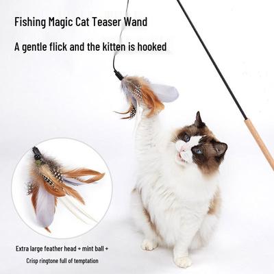 Einziehbare Katzen-Angelrute mit Feder-Lockvogel und bissfestem Ersatzkopf für Selbstbeschäftigung und gegen Langeweile.