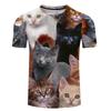 Animal Cat 3D Digital Printed Short Sleeved Casual Loose T-shirt for Men Women Shirt