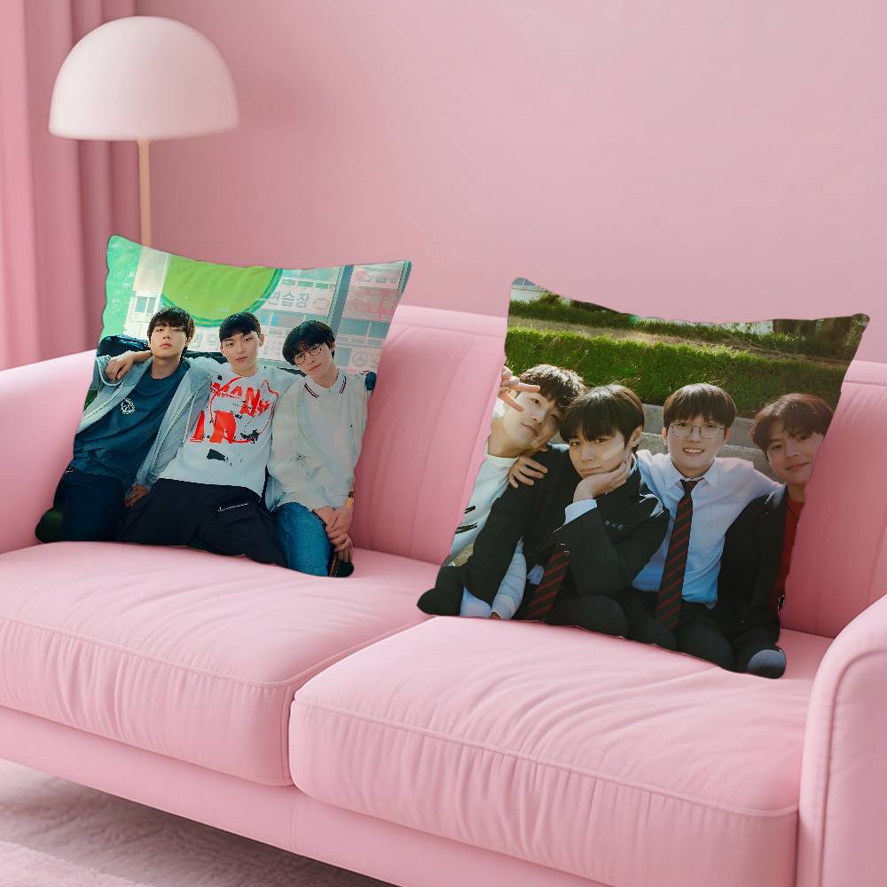 Hot Movie W-Weak Hero Class 1 Pillow Case Anti-Dustmite Pillowcase Invisible Zipper Silky Short Plush Sofa Cushion Cover