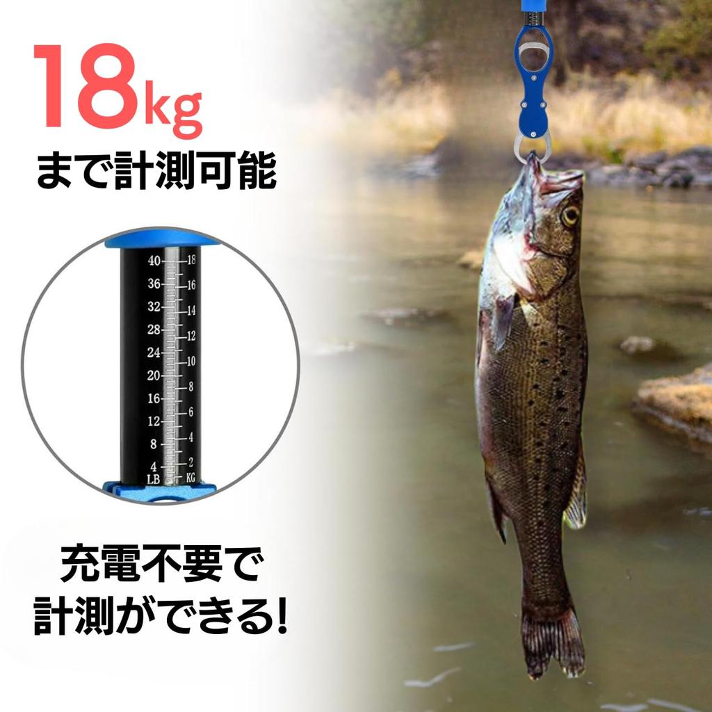 Fish Fish Fish Fish Fish Gripper with Weighing Grip, Catcher, Holder, Grabber, Carabiner, Holder, Function, Rust-Resistant... (Blue)