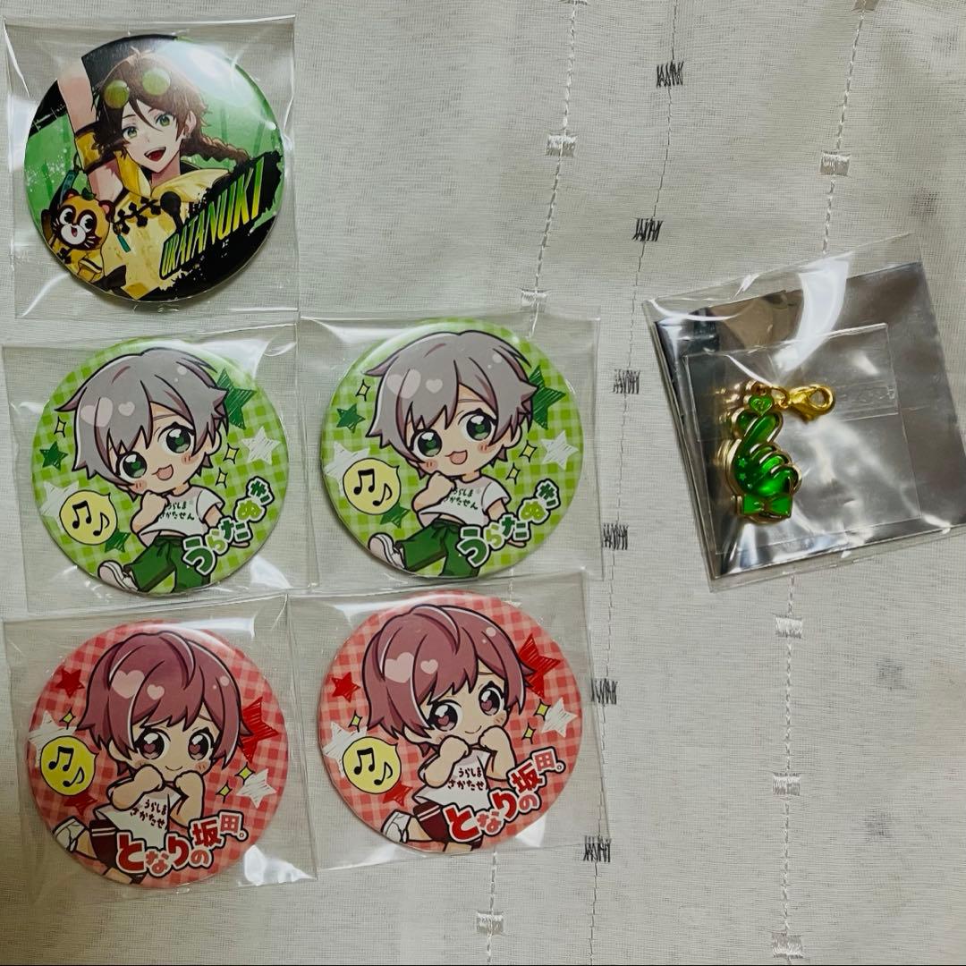 [USED] Urashimasakatasen Spring Tour Can Badge Flying Get Live-Action Default Bonus Urata Nuki Sakata