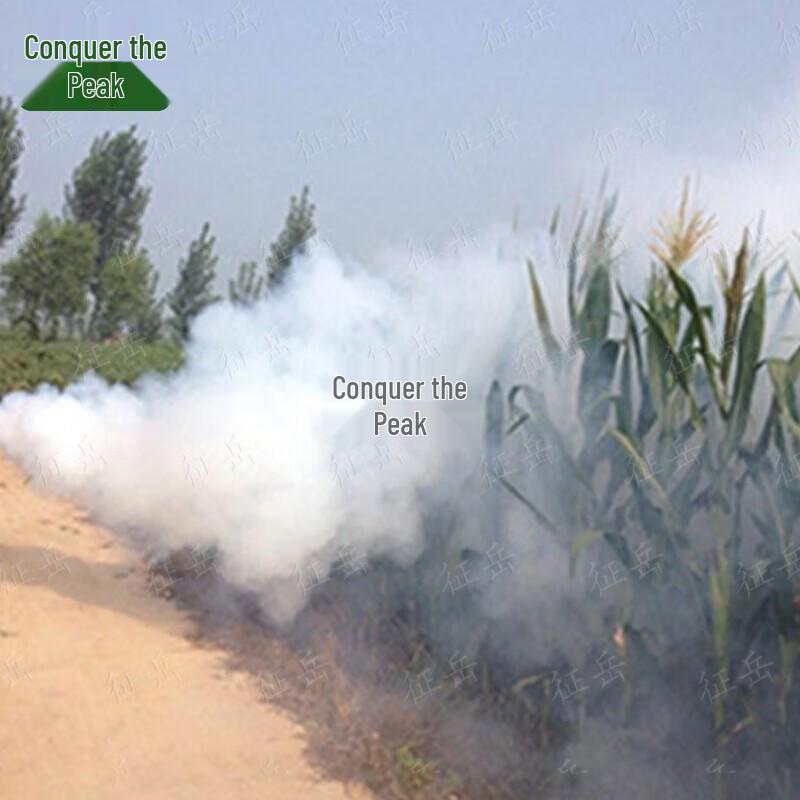 Zhengyue Disinfection Pulse Fogger