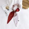 Nuova sciarpa tinta unita per le donne in primavera e autunno versatile cinturino da polso a nastro fascia decorazione alla moda protezione del collo per studenti piccola sciarpa