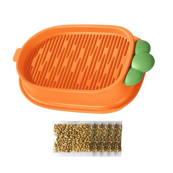 Hydroponic Cat Grass Growing Kit for Indoor Cats Soil Free Wheatgrass Planter with 5 Pack Seeds for Hairball Control
