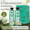 Douyin Best-Selling Plant-Based Transparent Hair Dye Cream with Essential Oils