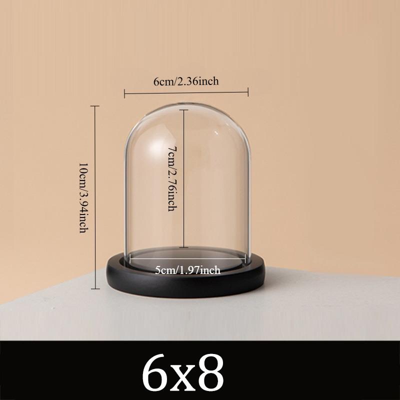 The Bell Jar Glass Cloche with Black Wood Base 15 Sizes Clear Decorative Glass Dome Display Storage Box for Curios Keepsakes 6x8
