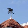 Iron Rooster Metal Weather Vane Family Name Wind Direction Light Weather Roof Mount Wind Vane Outdoor Accessories