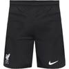 Solid Color Logo Embroidered Soccer Pants Men Bottoms Black DX2712-010