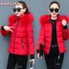 New Short Cotton-padded Jacket Women's Winter Coat Padded Jacket Slim-fit Thickened Big Fur Collar Padded Jacket