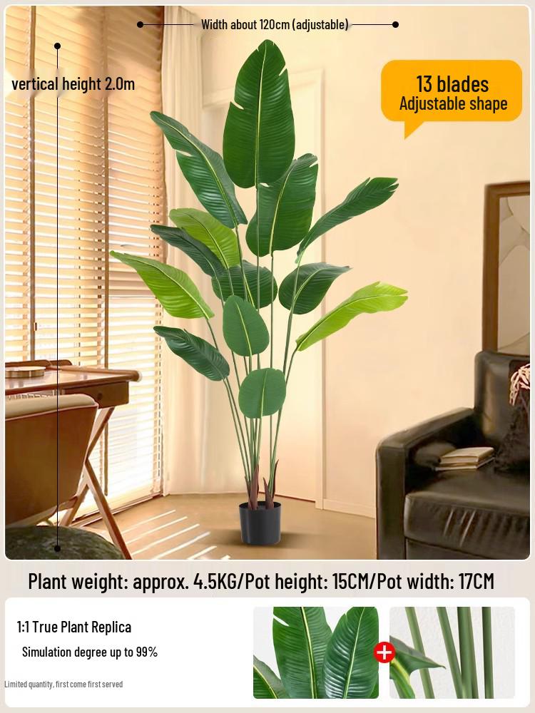 Bionic Green Sprenger's Fern Artificial Tree for Indoor Luxury Living Room Décor