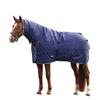 Weatherbeeta Comfitec Tyro Combo Neck 220g Horse Turnout Rug