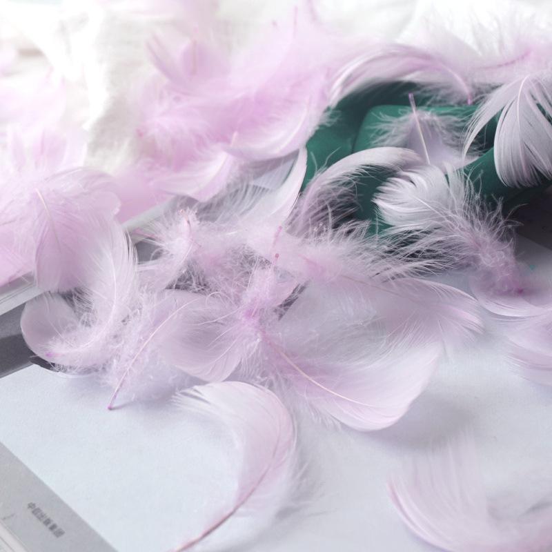 50Pcs Macaron Color Small Feather Small Goose Feather Wedding Festival Event Stage Decoration Gift Box Filling Material
