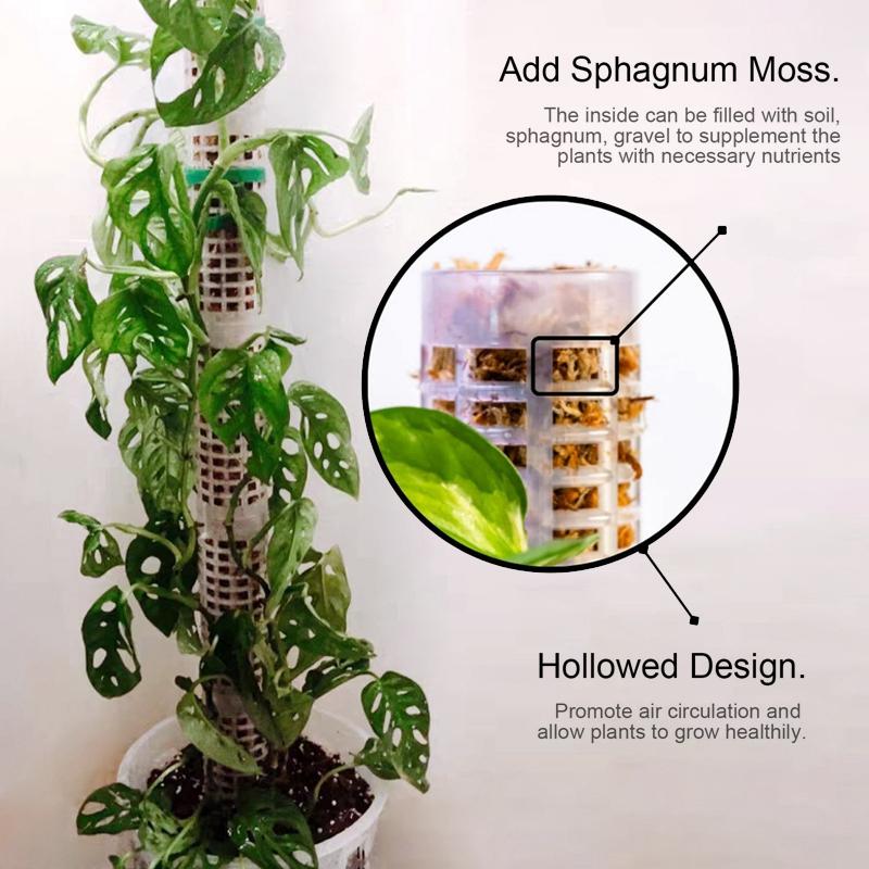 Plant Moss Pole Plant and Flower Climbing Frame Self Watering Device Tutors for Plants Support Garden Accessories