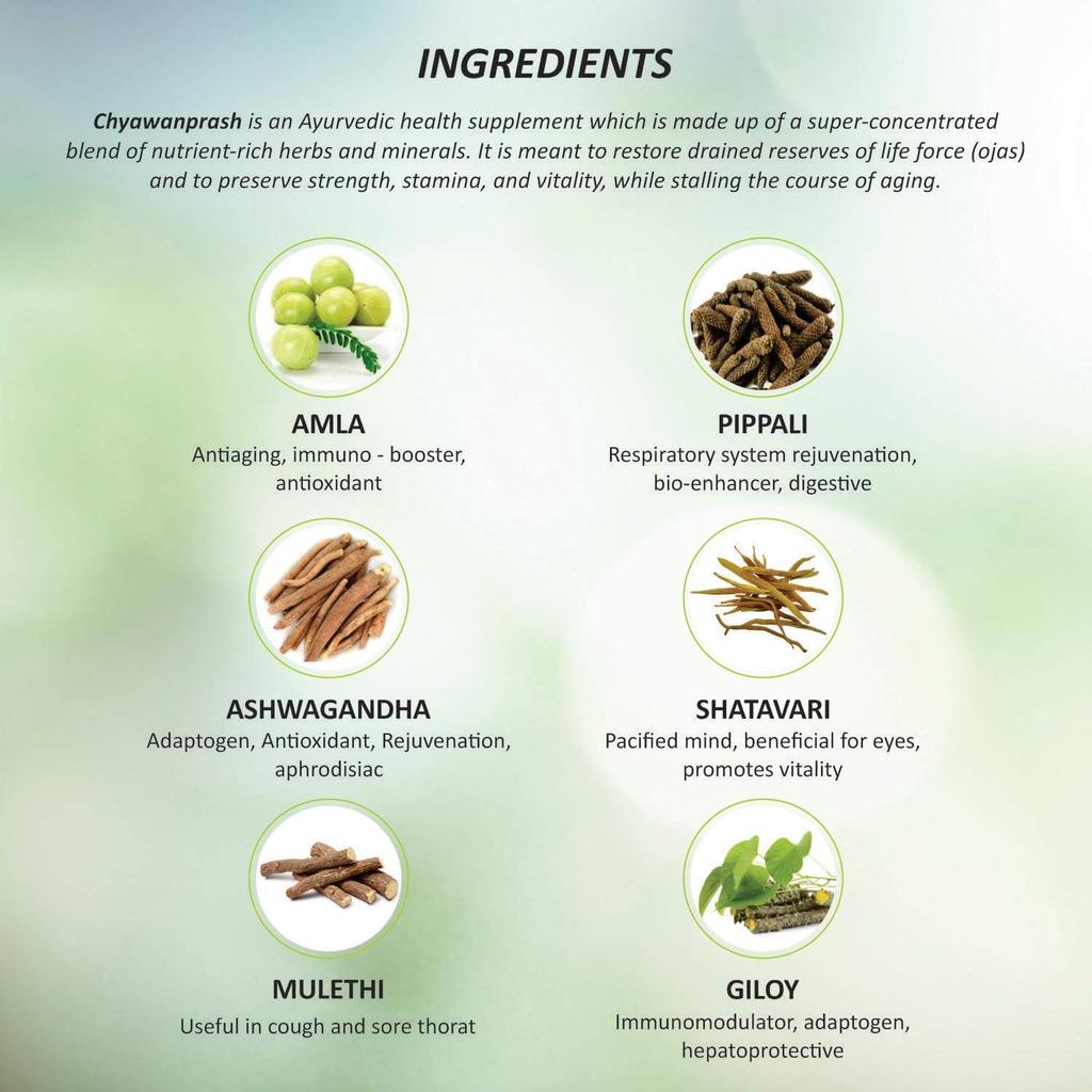 Baidyanath Chyawanprash Special 250 G | Herbal Immunity Booster With Pure Ghee And Amla | Daily Energy And Wellness Support For All Ages