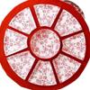 Zhishi Festive Bone China Dinnerware Set