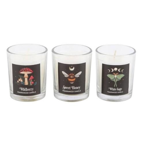Something Different Dark Forest Trio Votive Candles (Pack of 3)