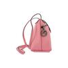 Longchamp Le Pliage Snap Button Zipper Closure Leather Shoulder Crossbody Bag Women Bags Pink 10188987018