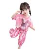 Girls Summer Fashion 2 Piece Set Cute Short Sleeve Top And Long Pants Baby Casual Outfit