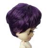 Linfairy inch Doll Short Curly Wig 9-10 (Purple)