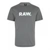 Mens Logo Regular T-Shirt