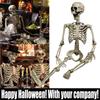 165CM Human Skeleton Decoration Halloween Party Prop Decoration
