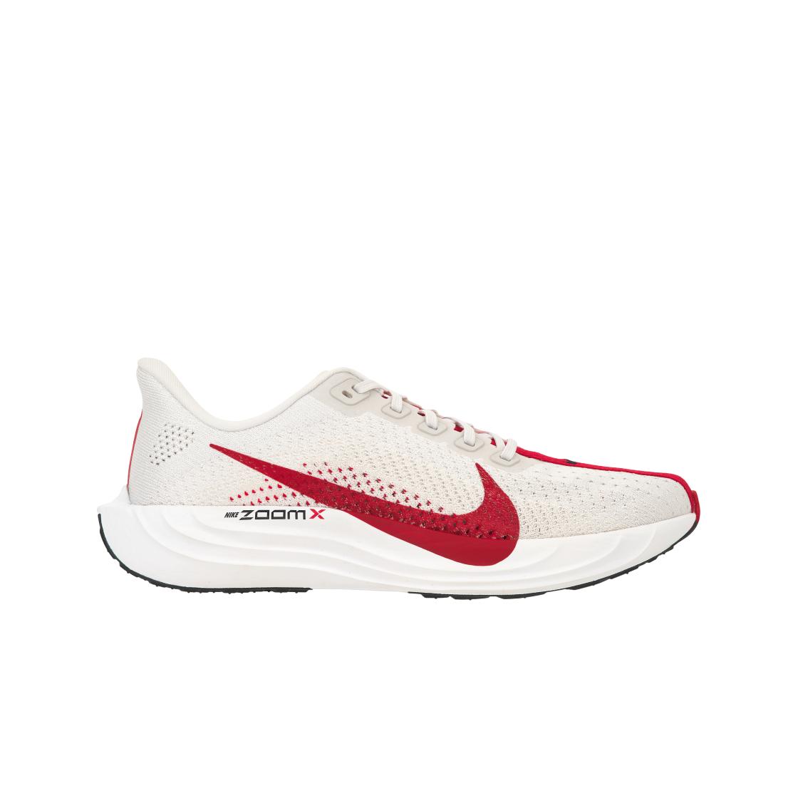 Nike Pegasus Plus Platinum Tint University Red Мужские кроссовки Белый Фантом Черный FQ7262-003 46