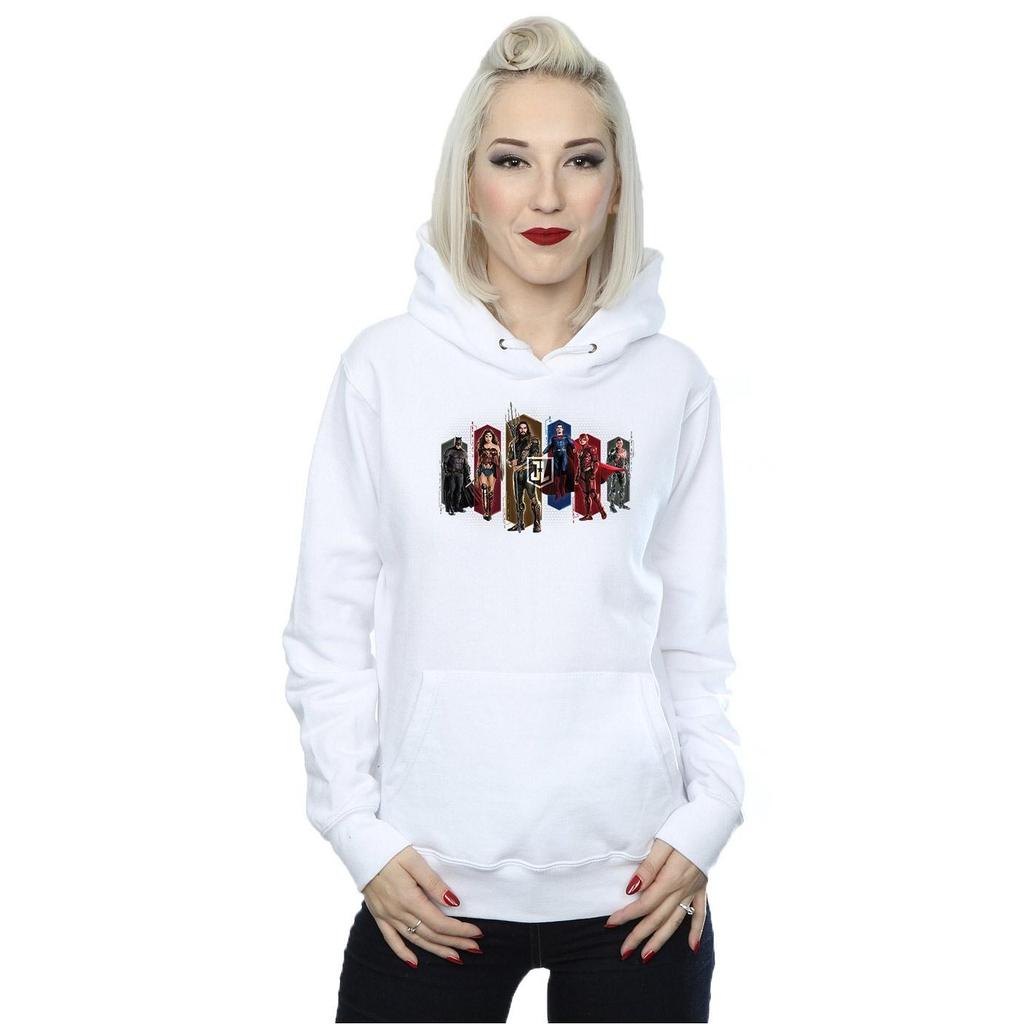 DC Comics Womens/Ladies Justice League Movie Team Hexagons Hoodie