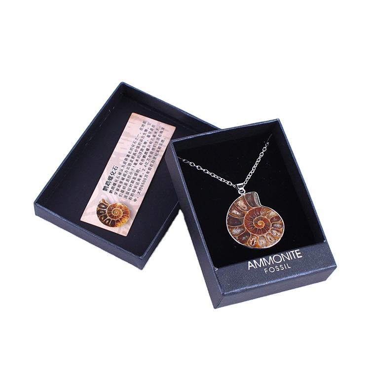 Natural Conch fossil Pendant Necklace Original Ore Mineral Men and Women Jewelry Pendant Spot Colored Snail Slice