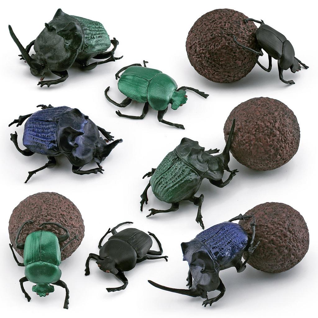 Vibrant Pvc Dung Beetle And Beetle Models Set Of 8 Realistic Insect Figurines For Home Decor