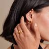 Irregular Curved Earrings and Earrings Made of Stainless Steel Material Plated with 18k Gold Color Protection