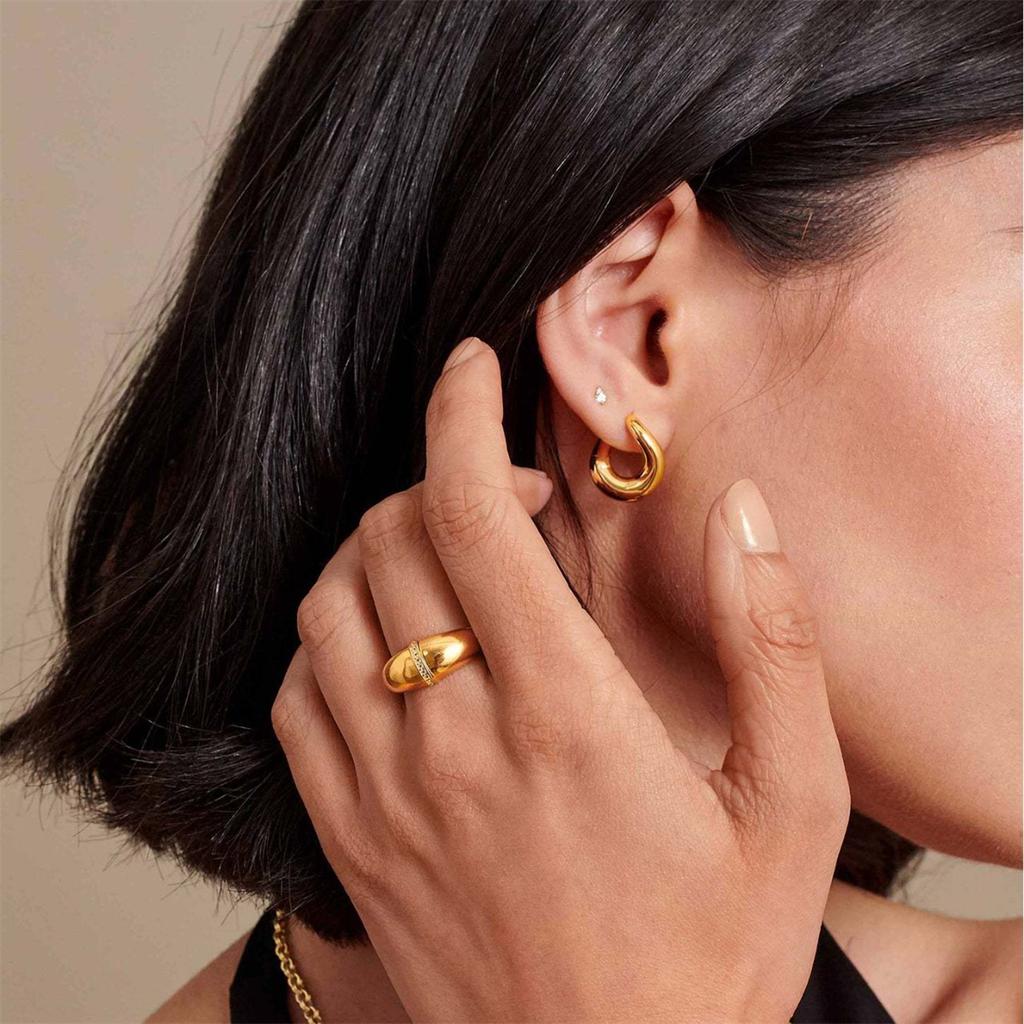 Irregular Curved Earrings and Earrings Made of Stainless Steel Material Plated with 18k Gold Color Protection