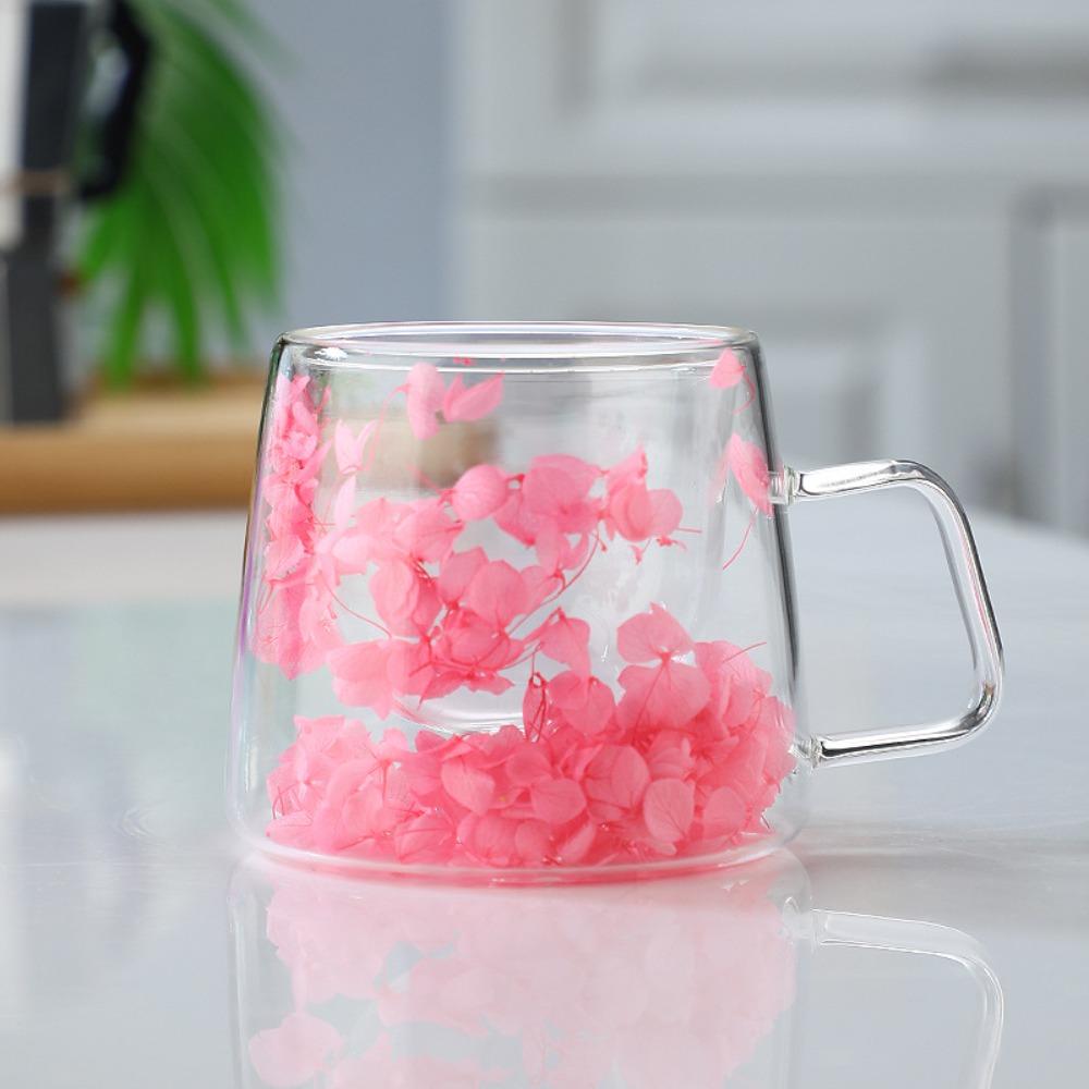 Double Insulated Dried Flower Glass Cup Coffee Tea Cup Clear Glass Cup Double Wall Mug  Household