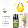PHATOIL 3PCS Pure Plant Extract Essential Oil For Stress Relief Lavender Bergamot Clary Sage 10ml Water Soluble Oil Air Freshening Body Relieve