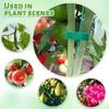 New Reusable Plant Ties for Climbing Plant Plan Straps Plant Tape Straps Gardening Tip Tomato Plant Support Garden Wire Ties